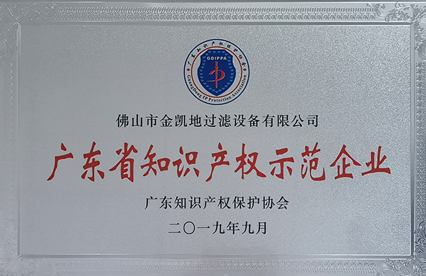 廣東省知識產權示范企業